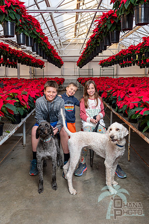 CDHS Santa Paws 2021-549