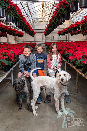 CDHS Santa Paws 2021-550