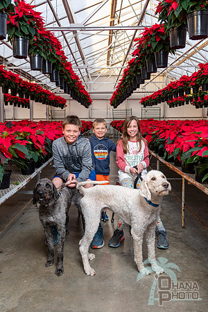 CDHS Santa Paws 2021-551