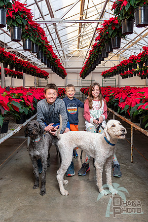 CDHS Santa Paws 2021-552