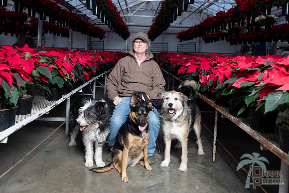 CDHS Santa Paws 2021-599